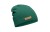 ZIELLEŃ.jpg